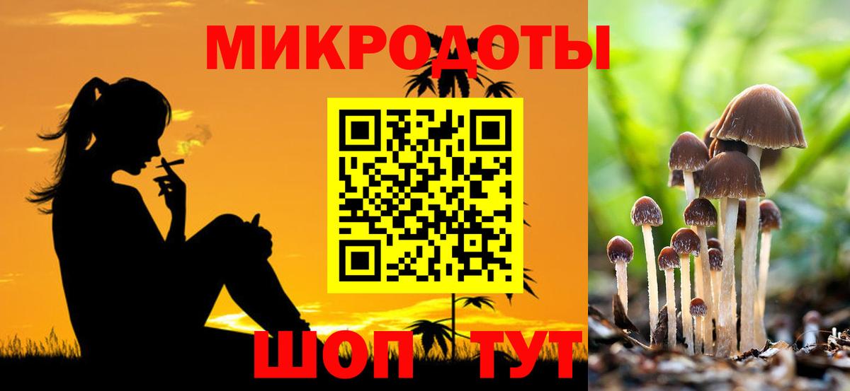 Галлюциногенные грибы прущие грибы Гусев